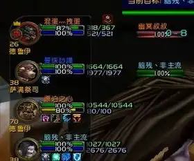 wow的is插件小队目标怎么弄没
