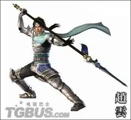 谁有赵云的武器图片