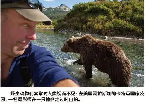 瘦弱的人类为何让野兽害怕