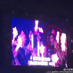赵薇听周杰伦演唱会听哭了明星粉丝覆盖各年龄层