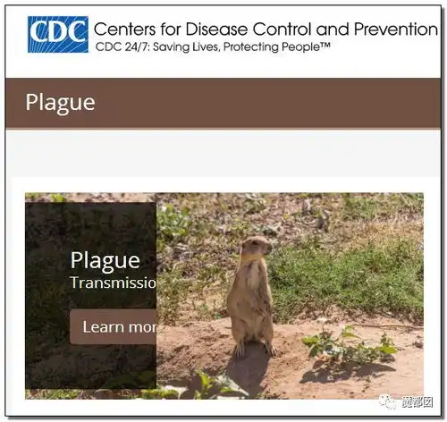 武汉不明原因肺炎通报来了可有人注意到那个诡异海鲜市场