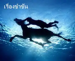 笑话一个喜欢提问的小孩