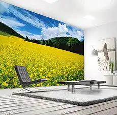 油菜花高清图片素材油菜花高清图片素材下载油菜花高清图片大全我图网