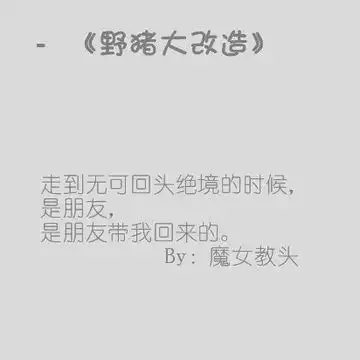 测试一个超长简介的文章