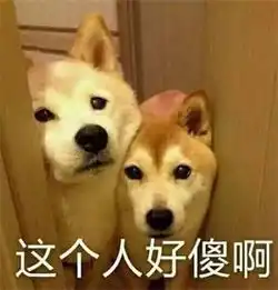 第一次演女主就拿下20亿票房,体面也是她写的,她的履历惊人