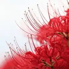一个人生活