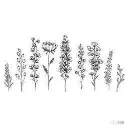 100张手绘精品素材