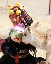 掌上图片