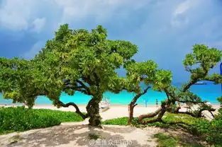 三亚最美小岛不只有海