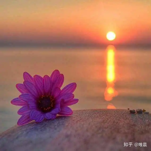 识人术一个人说话的音量,藏着他的层次和修养