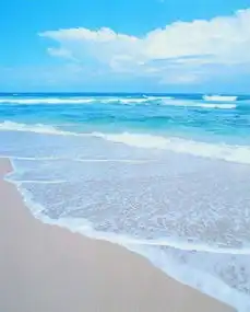测试一个超长简介的文章