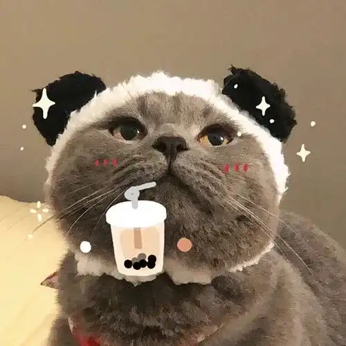 猫猫情头风止于秋水,我止于你