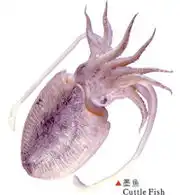 玻璃鲜墨