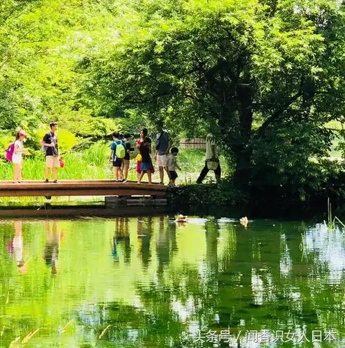 日本浪漫的轻井泽,景色优美湖水透明