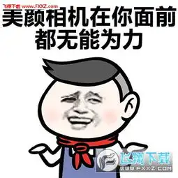怼人表情包下载怼人丑表情包下载飞翔下载