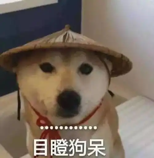 我期中考试回来了