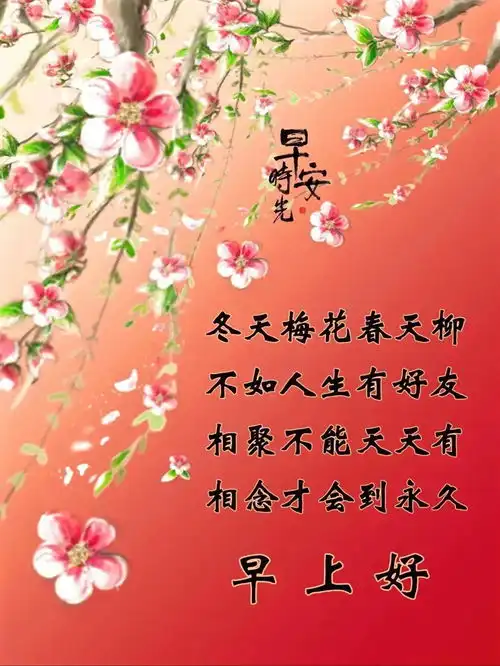 2024045早安漂亮图片祝福语,唯美的早安问候语图片大全