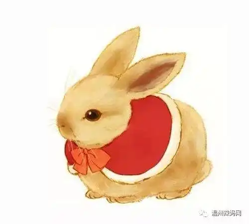 在美丽的大森林里,住着一只傻乎乎的老虎和一只聪明可爱的小兔子