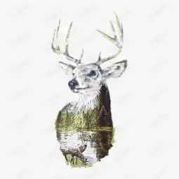 麋鹿素材图片免费下载高清装饰图案png千库网图片编号2953202