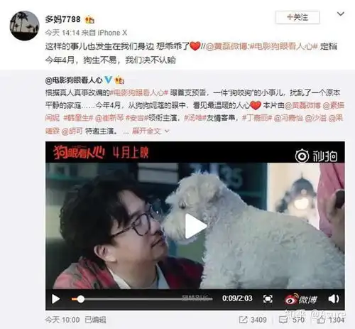 黄磊十年没换的微博头像,揭露背后狗咬狗那点事儿