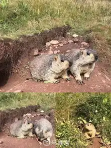 看过一眼,便终生难忘