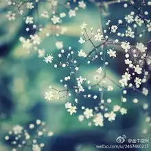 金牛不喜欢依靠别人,但如果你是ta想要依靠的人,那,姐的语录,百思不得姐,齐b小短裙,笑话,美女,图片,漫画,艺术,杜甫,杜甫很忙不得姐俱揽突ф讼略ta