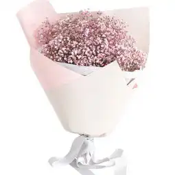 粉色满天星的花语是什么
