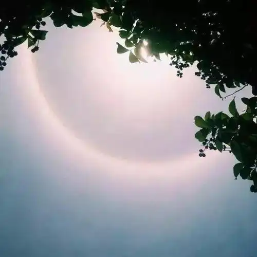 来一波超好看背景图