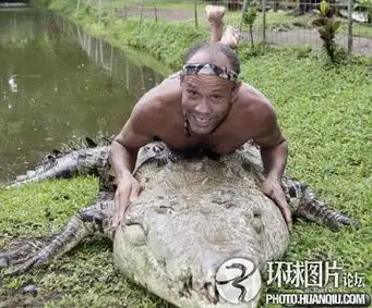 全世界最疯狂职业鳄鱼摔跤手