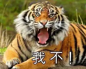 爸妈有一百种方法吐槽我的头像