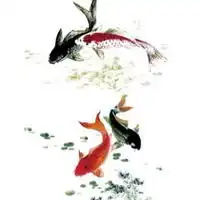 测试一个超长简介的文章