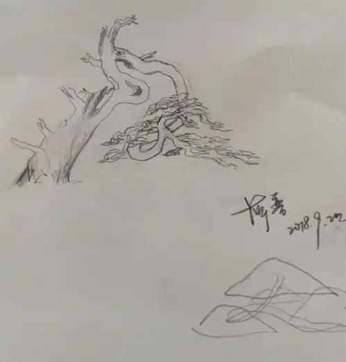 真柏制作大师李仲鸿现场教学培训班招生啦