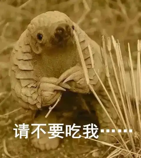 对全国人民都痛恨的这群人,政法机关出手了