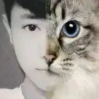 不羁的王i