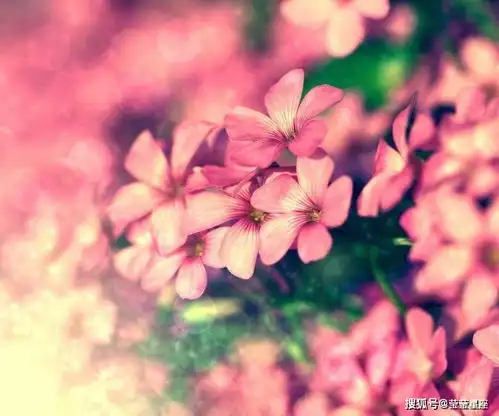 有的星座碰到喜欢的东西很大气,立马买回家,不好存钱