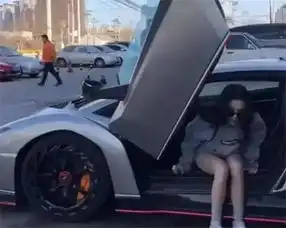 这辆兰博基尼全球仅3辆,做一次保养10万,网友女车主更抢眼