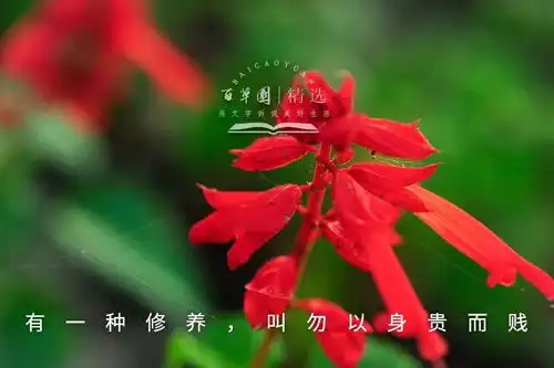 夜读有一种修养,叫勿以身贵而贱人