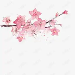 桃花朵朵开素材图片免费下载高清效果元素psd千库网图片编号7872858
