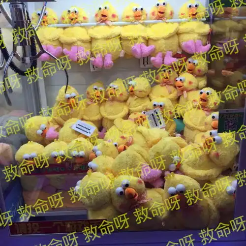 我的天脆皮鸡兄弟来太阳百货干嘛