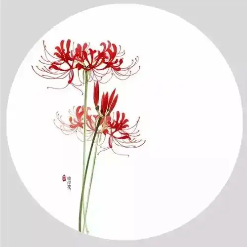 当花遇上中国画,真的美到窒息