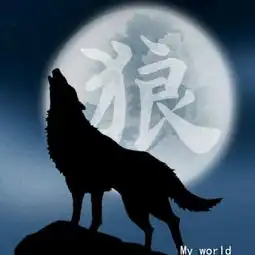 测试一个超长简介的文章