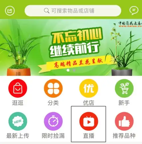 风口浪尖中的兰花直播