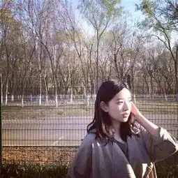 测试一个超长简介的文章