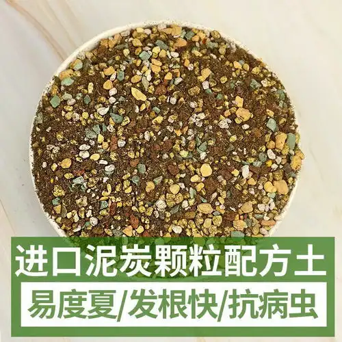 多肉土多肉植物营养土肉肉专用配方叶插泥炭多肉专用颗粒土包邮