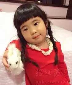 测试一个超长简介的文章