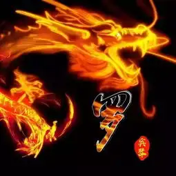 霸气头像中国龙姓氏头像