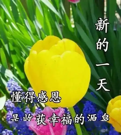 生活,简单就迷人人心,简单就幸福,早安