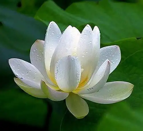 测试一个超长简介的文章