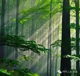 佛悟人生别太圆满