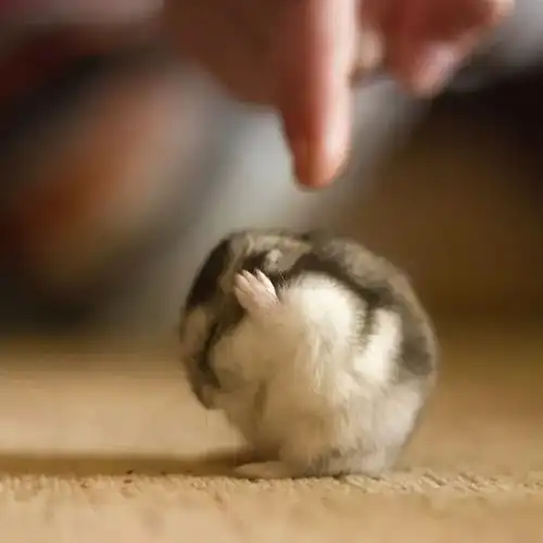 素材资料集合篇持续更新,建议收藏